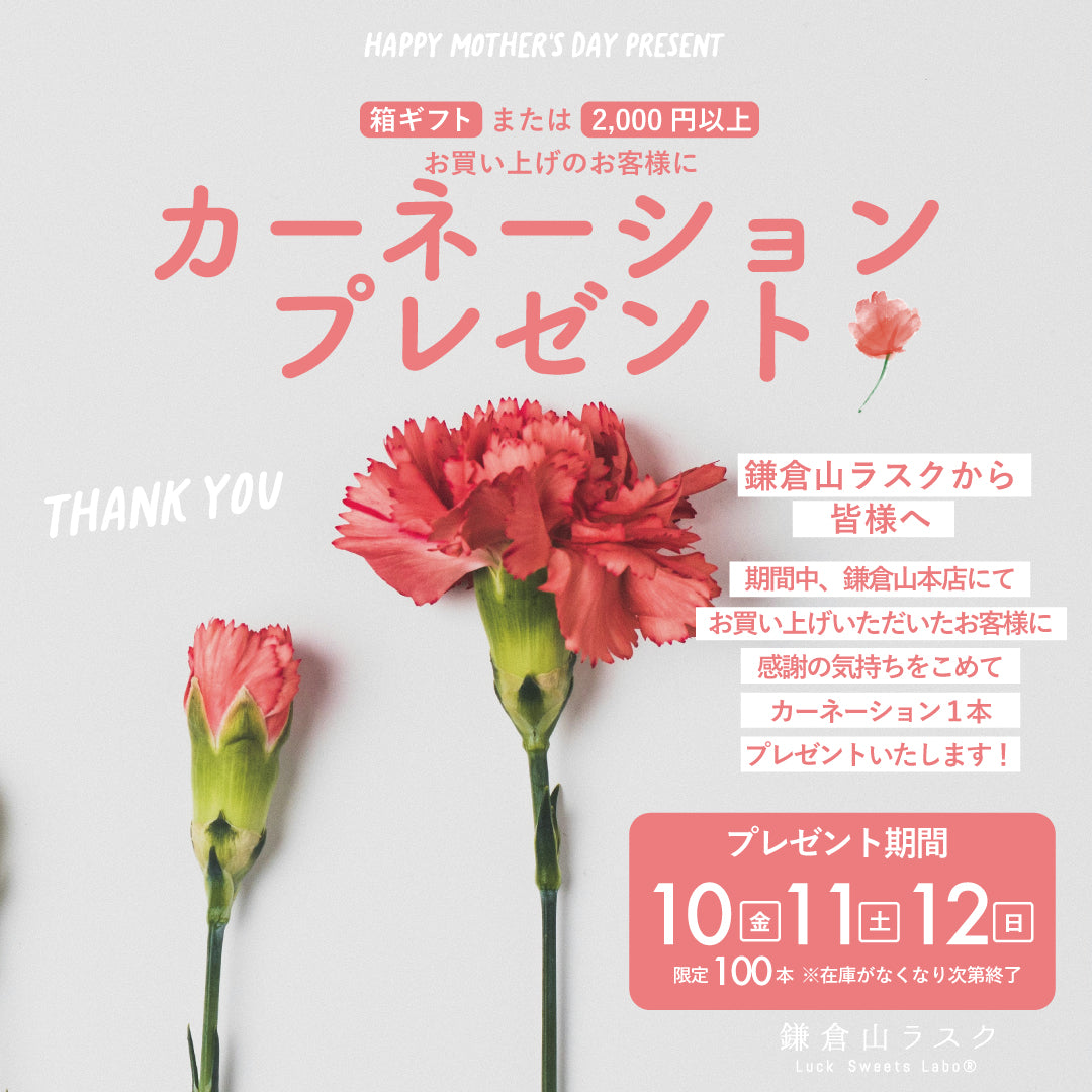 【鎌倉本店限定】母の日カーネーションプレゼントキャンペーンのお知らせ